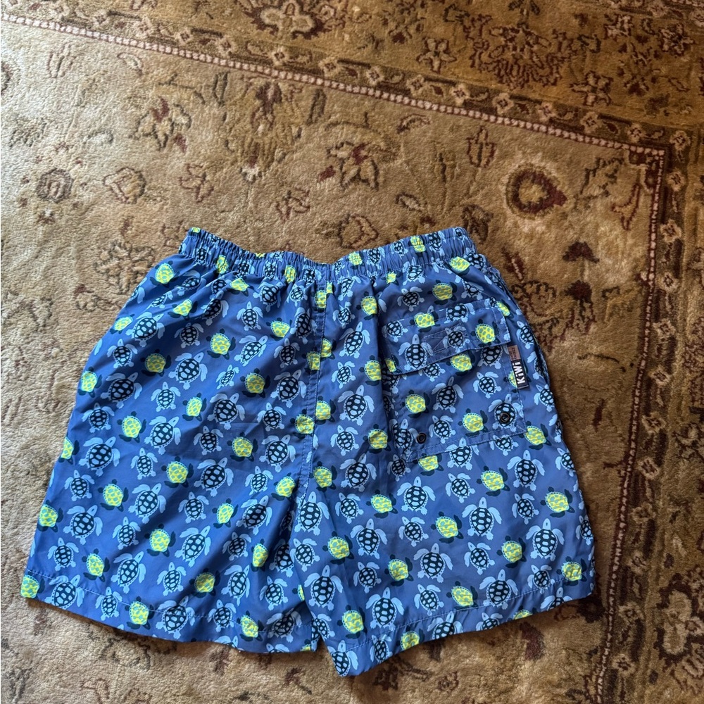 Blue Turtle Print kids swim trunk